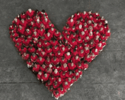 Unbroken Heart