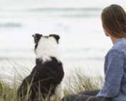 The Breakup Wisdom I Learned from my Dog