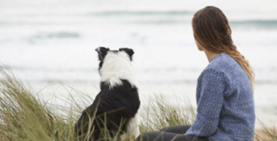 The Breakup Wisdom I Learned from my Dog