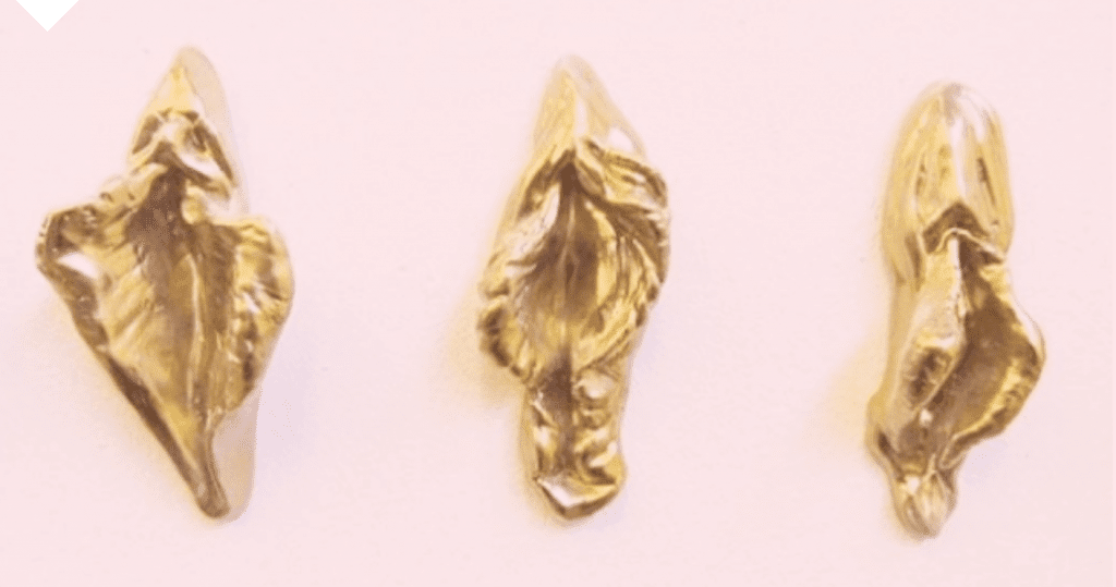 Destroying the myth of the ‘Golden Pussy’